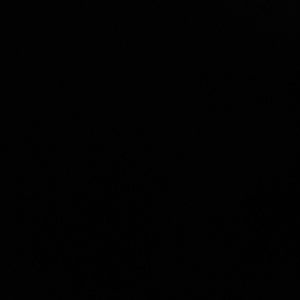 Meet your Posher, Aarav